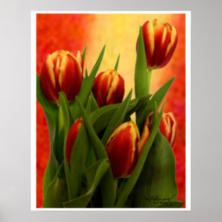 Tulips Smaller Wall Hanging Art The MUSEUM Zazzle Poster