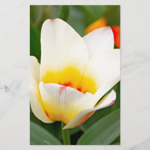Tulips Stationery