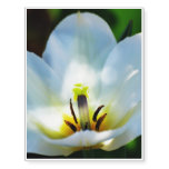 Tulips Temporary Tattoos
