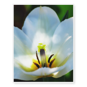 Tulips Temporary Tattoos