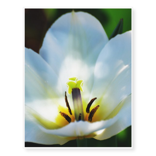 Tulips Temporary Tattoos (Front)