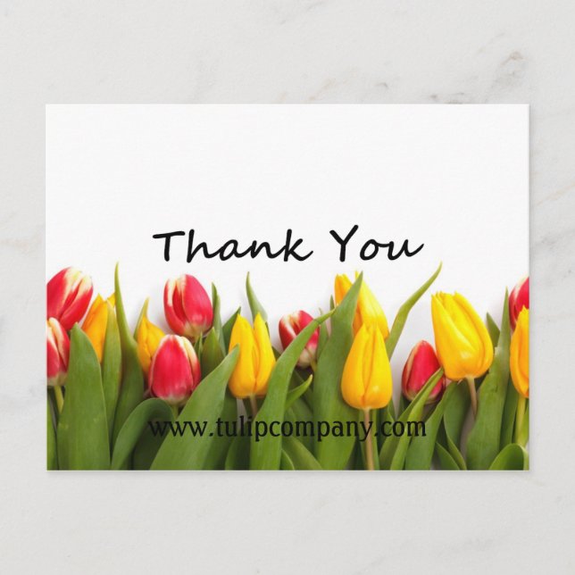 Tulips Thank-You Customizable Post Card (Front)