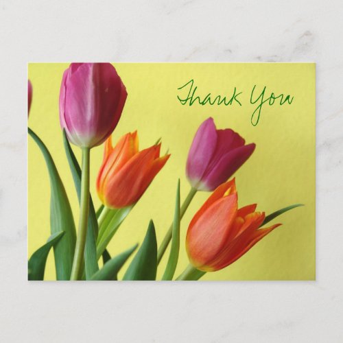 Tulips Thank You Postcard