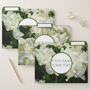 Tulips the white file folder