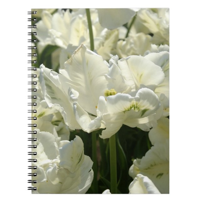Tulips the white notebook (Front)