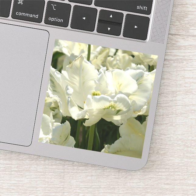 Tulips the white sticker (Detail)