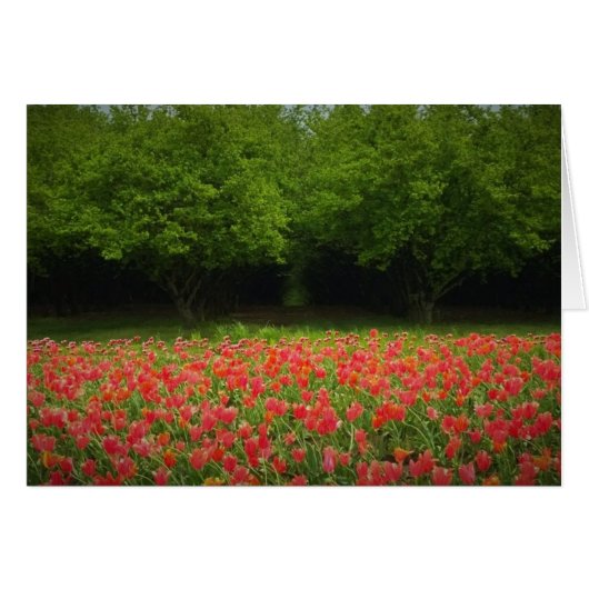 Tulips & Trees Cards (Front Horizontal)