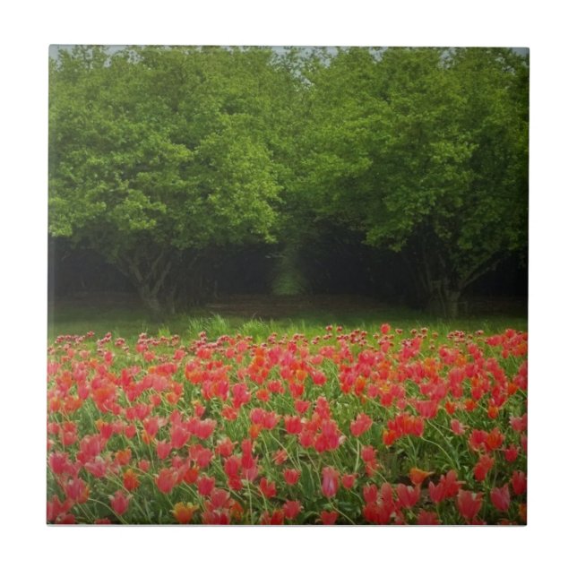 Tulips & Trees Ceramic Tile (Front)