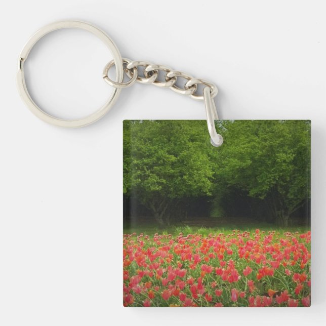 Tulips & Trees Keychain (Front)