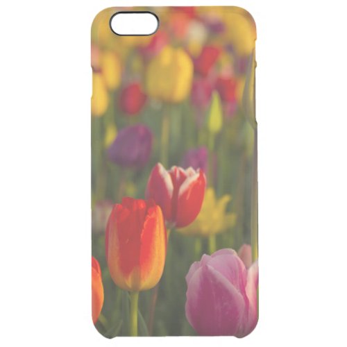 Tulips Tulip Festival Woodburn Oregon USA 2 Clear iPhone 6 Plus Case