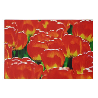 tulips tulips faux canvas print