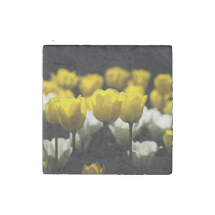 Tulips Yellow And White Stone Magnet