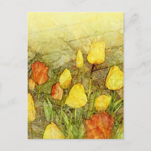 Tulips Yellow Orange Postcard