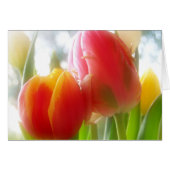 tulipsTWOgether Card (Front Horizontal)
