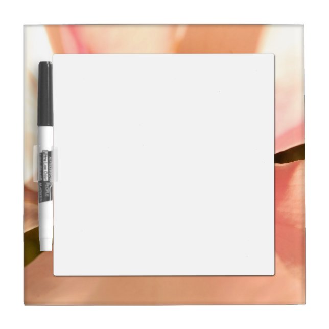 Tulpenbaum Dry Erase Board (Front)
