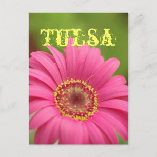 "Tulsa" Pink Gerbera Daisy Postcard