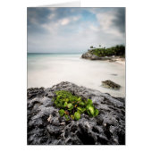 Tulum Cards (Front)