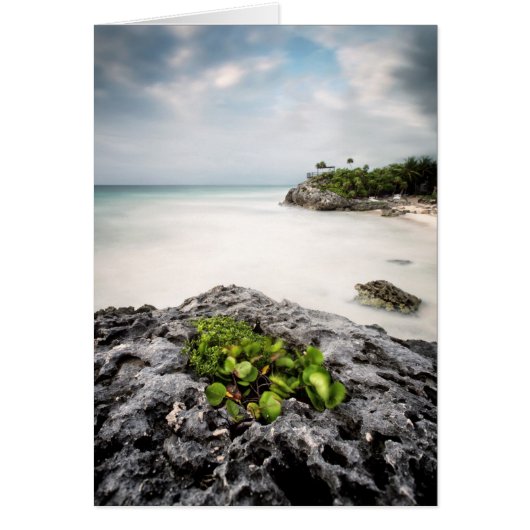 Tulum Cards (Front)