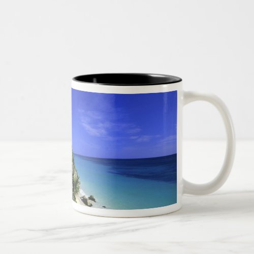 Tulum Mexico 2 Two_Tone Coffee Mug