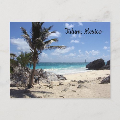Tulum Mexico _ Beach _ Palm Trees Postcard