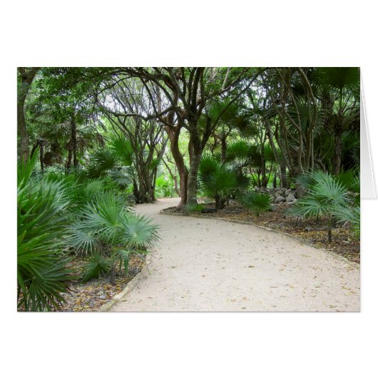 Tulum Trail Cards (Front Horizontal)