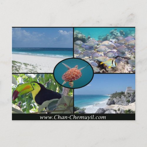 Tulum Vacation Rentals _ Chan Chemuyil Post Card