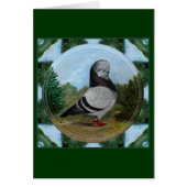 Tumbler Blue Grizzle Pigeon (Front)