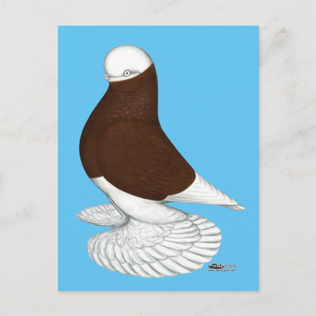 Tumbler:  Muffed Red Bald Postcard (Front)