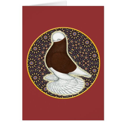 Tumbler Pigeon Circle (Front)