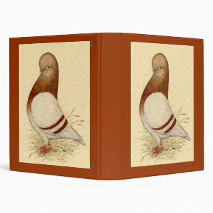 Tumbler Pigeon: LFCL Mealy Binder