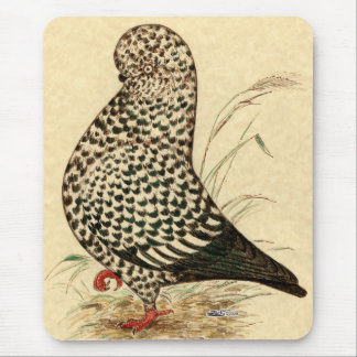 Tumbler Pigeon LFCL Splash Mouse Pad