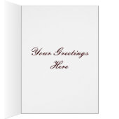 Tumbler Pigeon Muffed Andalusian (Inside (Right))