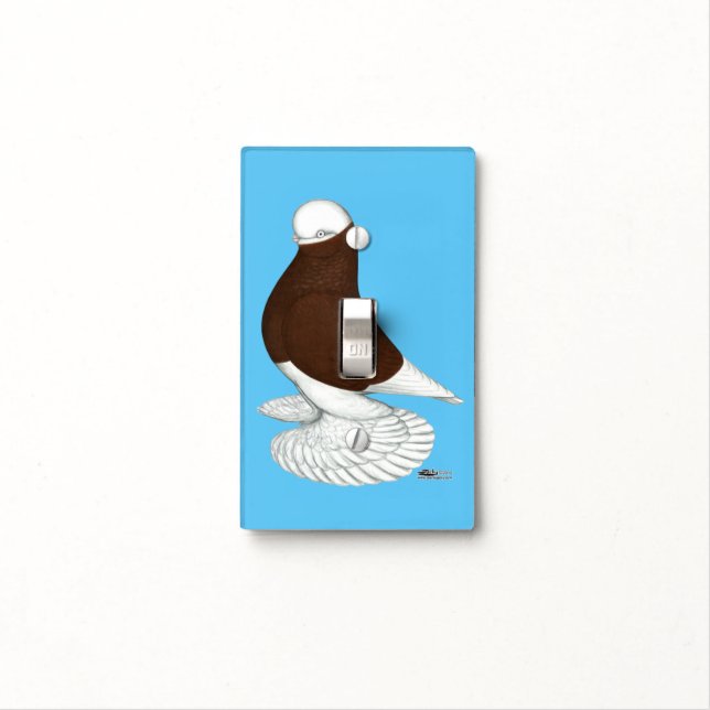 Tumbler Pigeon  Muffed Red Bald Light Switch Cover (In Situ)