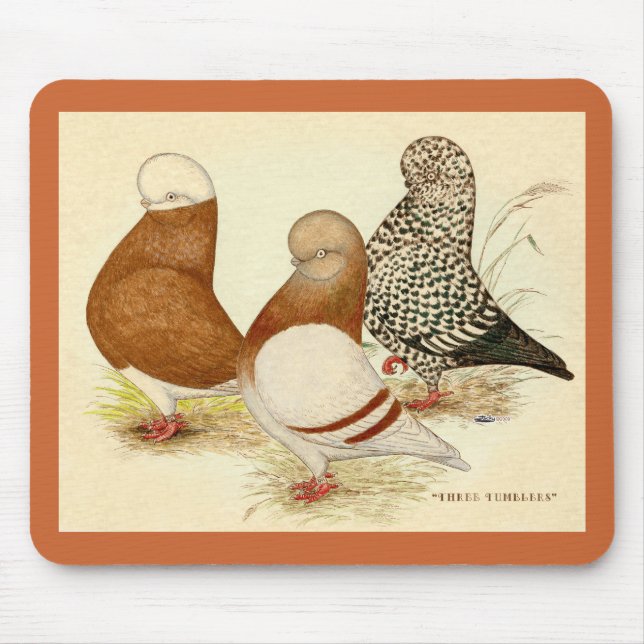 Tumbler Pigeons Three Mouse Pad (Front)
