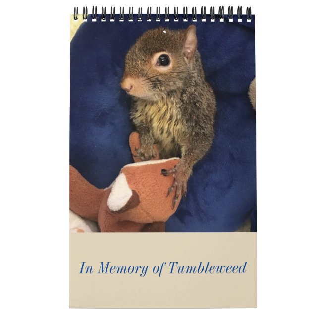 Tumbleweed calendar (Cover)