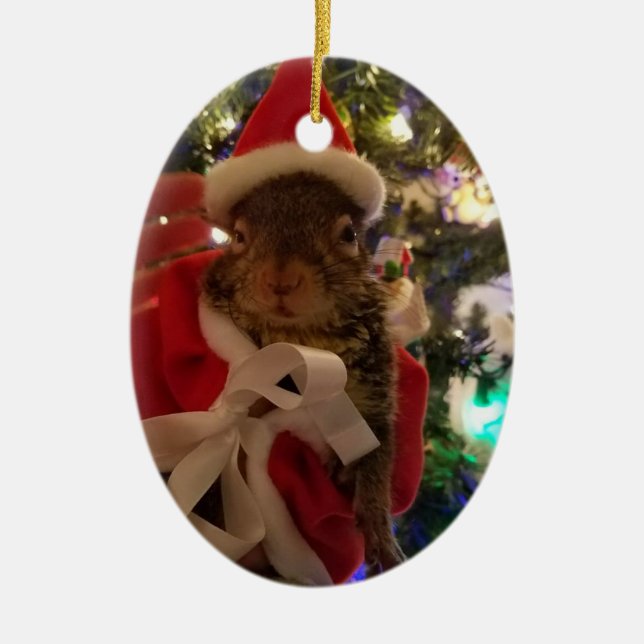 Tumbleweed Christmas Ornament (Front)