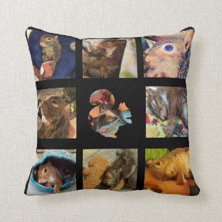 Tumbleweed collage pillow