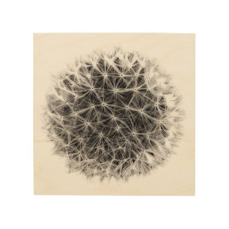 Tumbleweed Wood Wall Art