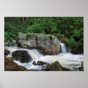 Tumbling Falls On Drakes Creek Poster