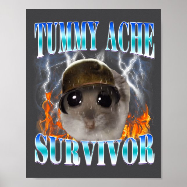 Tummy Ache Survivor Hamster Meme Funny Saying Hams Poster (Front)