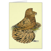 Tumpeter Pigeon Almond (Front)