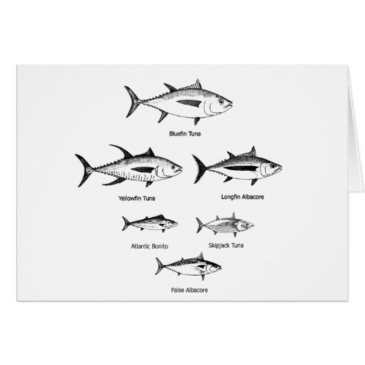 Tuna Species Logo Cards (Front Horizontal)