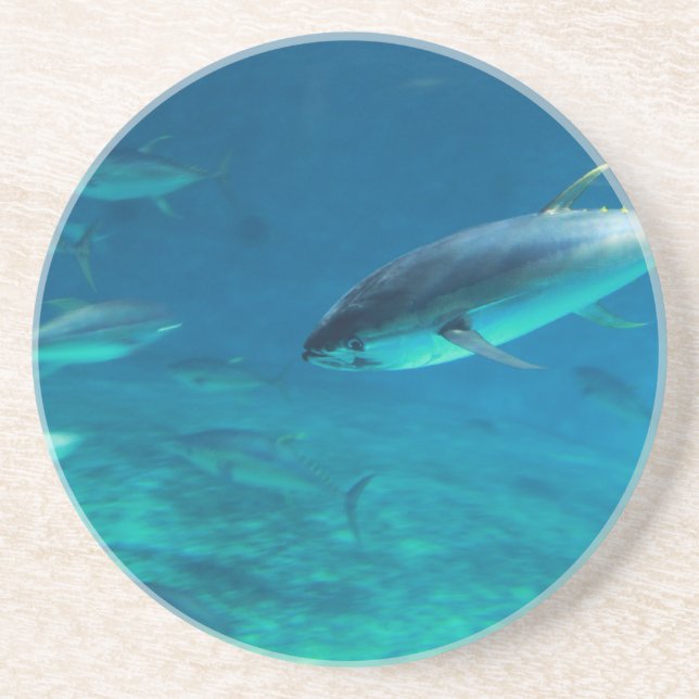 Tuna underwater sandstone coaster (Front)