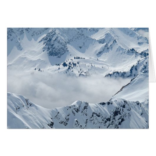 Tundra Cards (Front Horizontal)