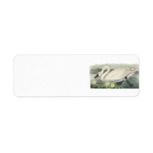 Tundra Swan by Audubon Label