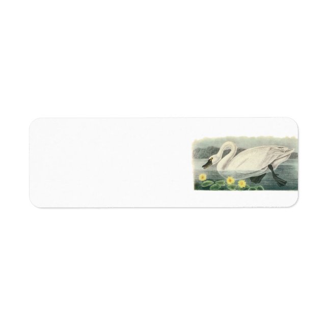 Tundra Swan by Audubon Label (Front)