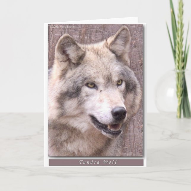 Tundra Wolf Card (Front)