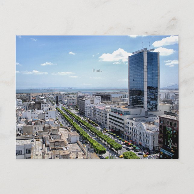 Tunis cityscape photograph postcard (Front)