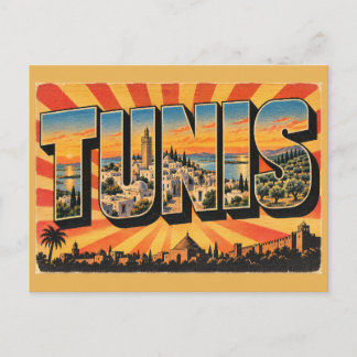 Tunis Medina Lagoon Olive Hills Vintage Travel Art Postcard