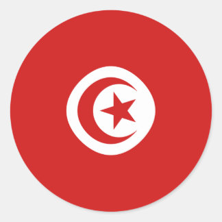 Tunisia Fisheye Flag Sticker